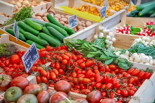 農(nóng)產(chǎn)品B2B電商 顛覆傳統(tǒng)模式，開啟未來新篇章