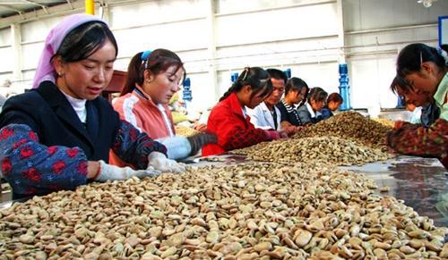 從城市返鄉(xiāng)創(chuàng)業(yè)新路徑 五種適合農(nóng)村的農(nóng)產(chǎn)品加工廠